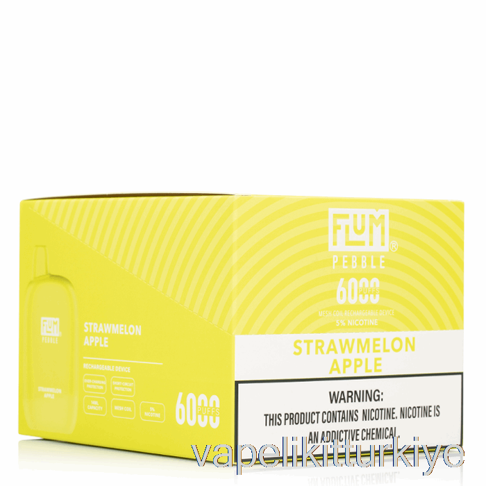 Vape Türkiye [10'lu Paket] Flum Pebble 6000 Tek Kullanımlık